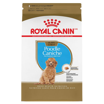 Royal Canin, Breed Health Nutrition Poodle Puppy - Dry Dog Food