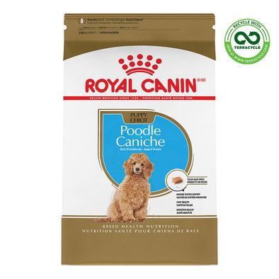 Breed Health Nutrition Poodle Puppy