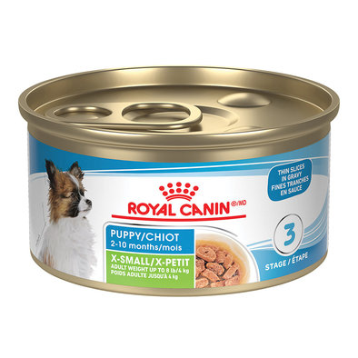 Royal Canin, Size Health Nutrition Extra Small Puppy Chunks in Gravy 24/3oz - Wet Dog Food