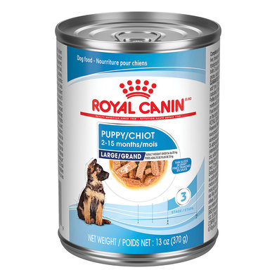 Royal Canin, Size Health Nutrition Large Puppy Chunks in Gravy 12/13oz - Wet Dog Food