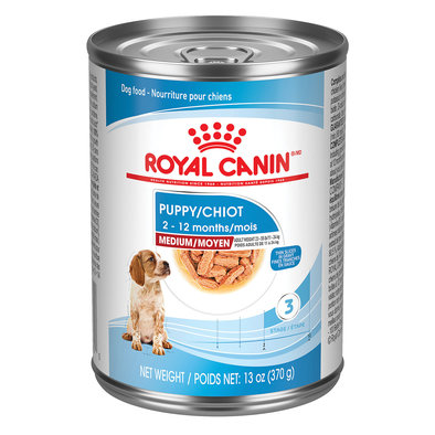 Royal Canin, Size Health Nutrition Medium Puppy Chunks in Gravy 12/13oz - Wet Dog Food