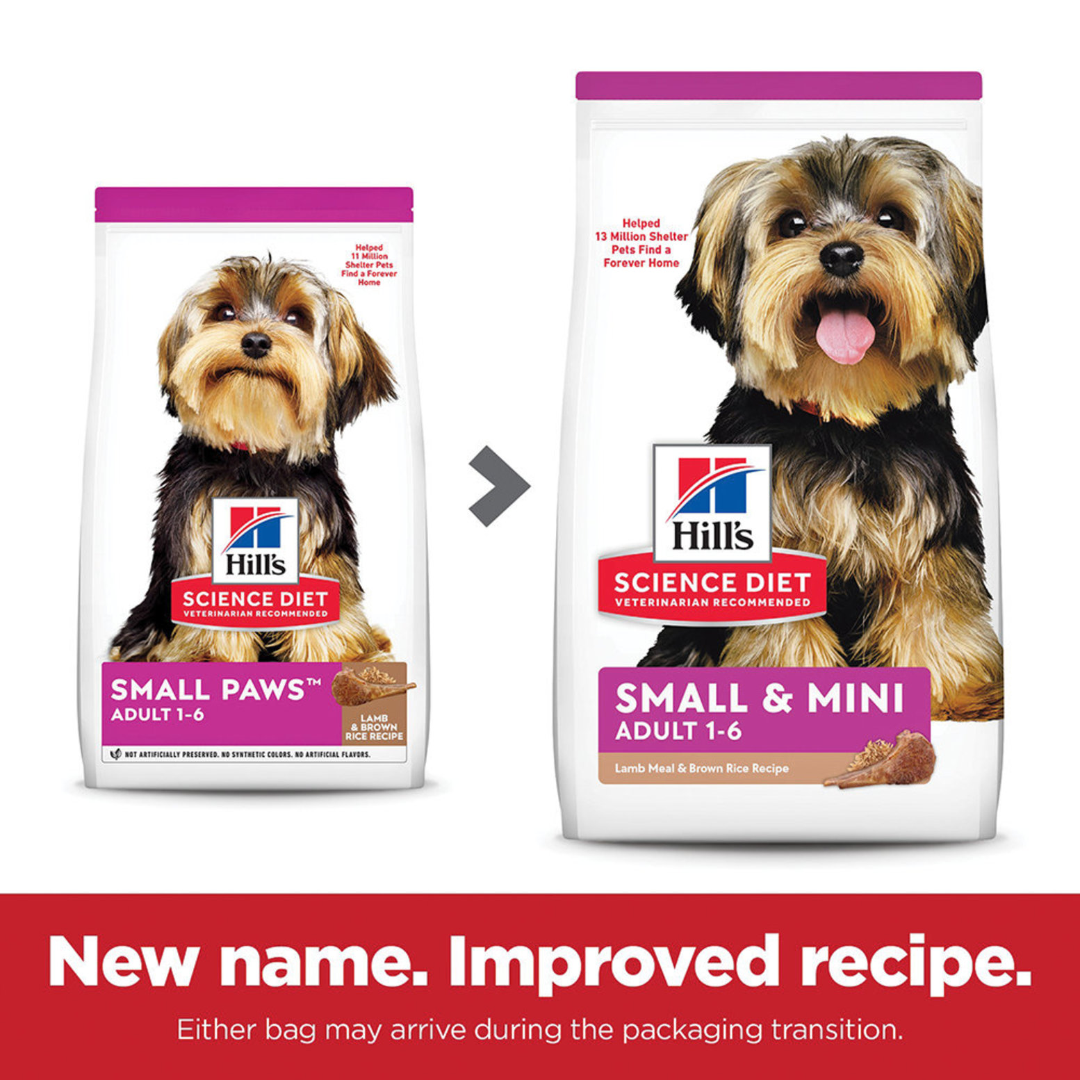 Lamb and rice small breed best sale dog food