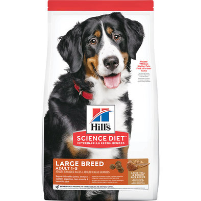 Adult Large Breed Lamb Meal & Brown Rice Recipe Dry Dog Food, 15 kg