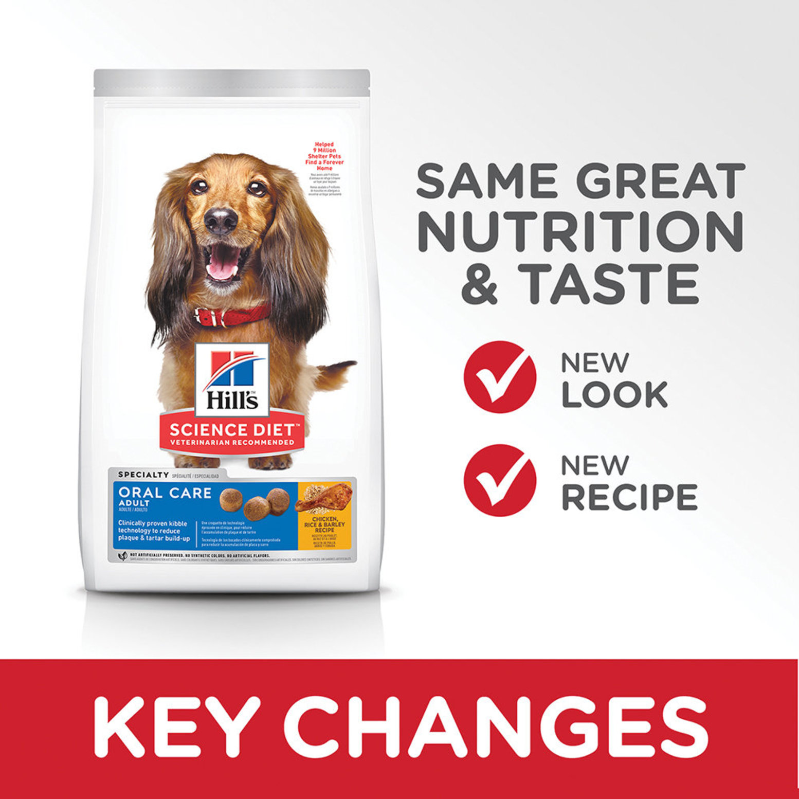 Dental diet outlet dog food