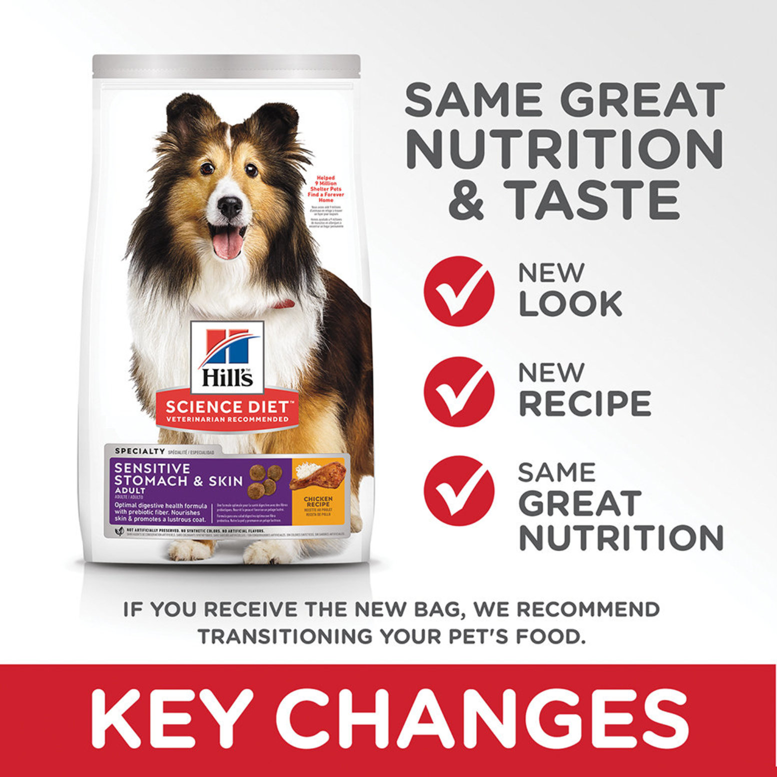 Cheap dog food for sensitive clearance stomachs