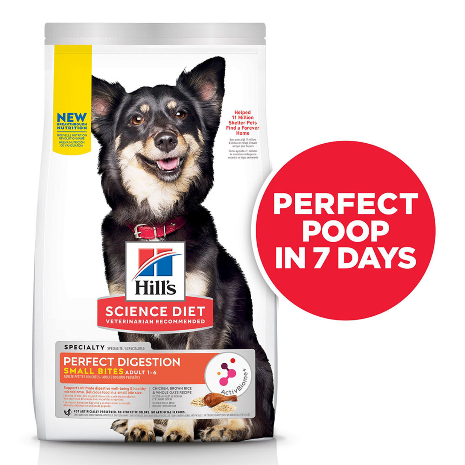 Hill's science diet small bites 2024 dog food