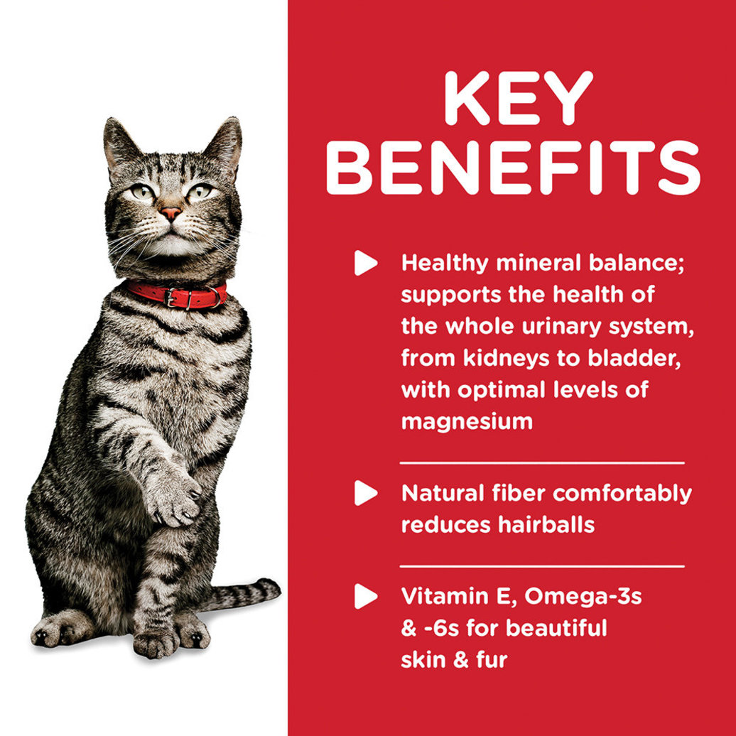 View larger image of Adult Urinary & Hairball Control Savory Chicken Canned Cat Food