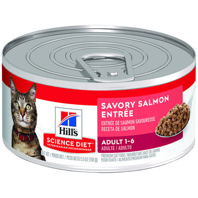 Adult Savory Salmon Canned Cat Food, 156g