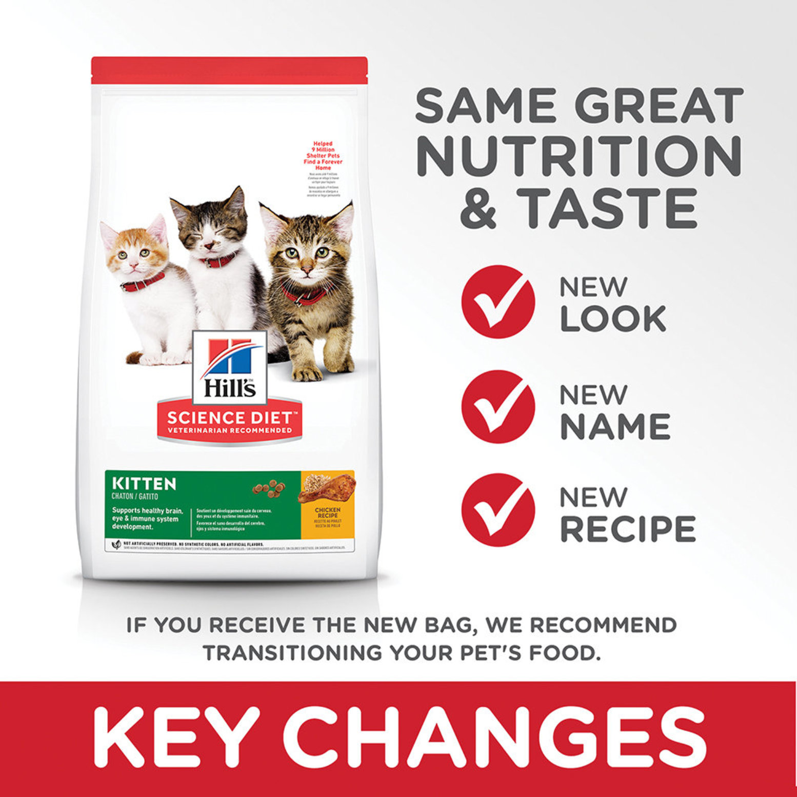 Hill's science outlet diet kitten food