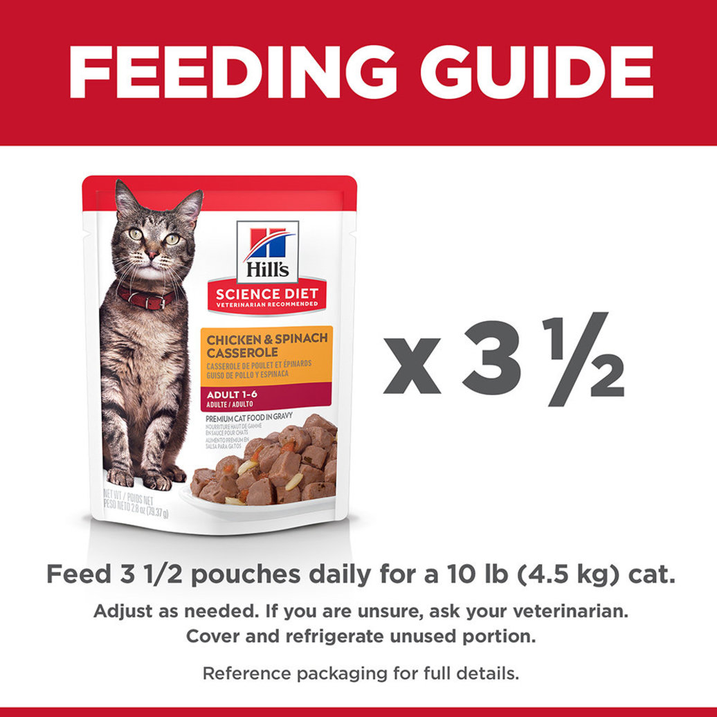 View larger image of Science Diet, Adult Chicken & Spinach Casserole Wet Cat Food - 80 g - Wet Cat Food
