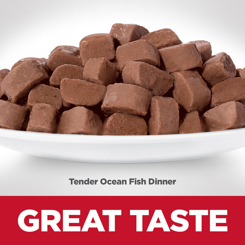 View larger image of Science Diet, Adult Tender Ocean Fish Dinner Wet Cat Food - 80 g - Wet Cat Food