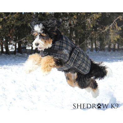 Shedrow K9, Glacier Dog Coat Brown Plaid