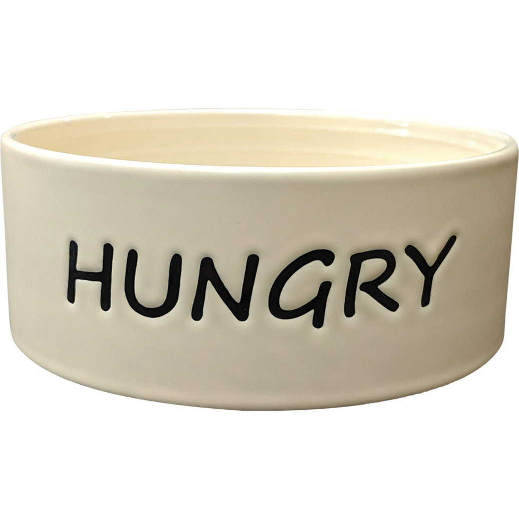 View larger image of SPOT, Hungry Dish - Dog - 7" - Dog Bowl