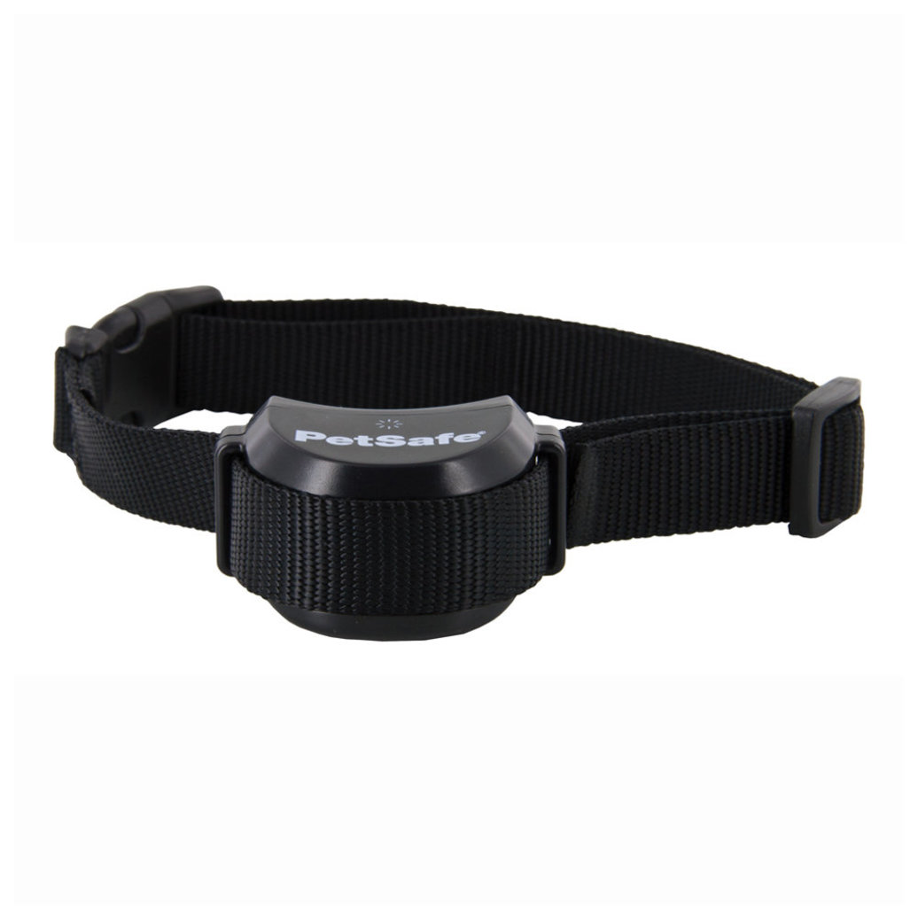 View larger image of Stay & Play Wireless Collar