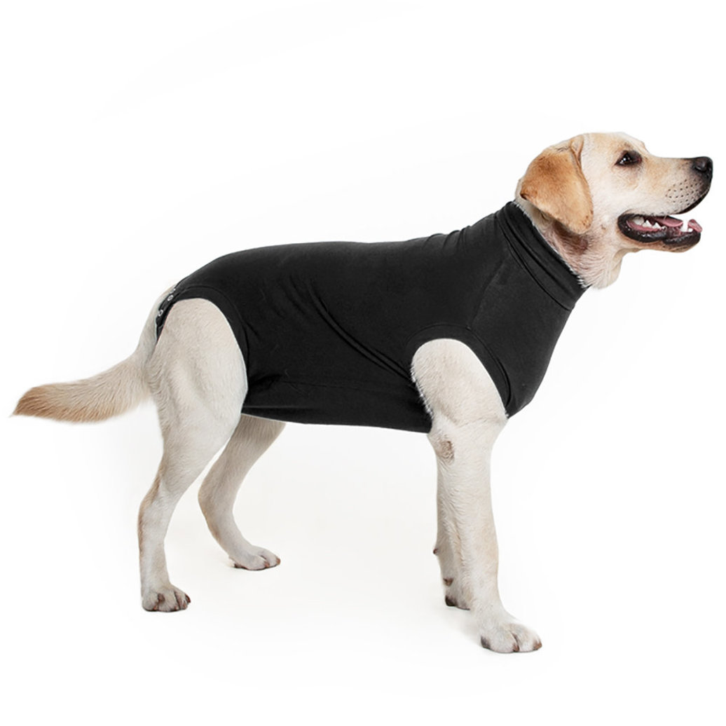 View larger image of Suitical, Recovery Suit - Dog - Black
