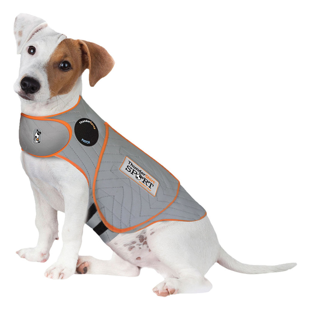 View larger image of ThunderWorks, ThunderShirt for Dogs - Heather Grey