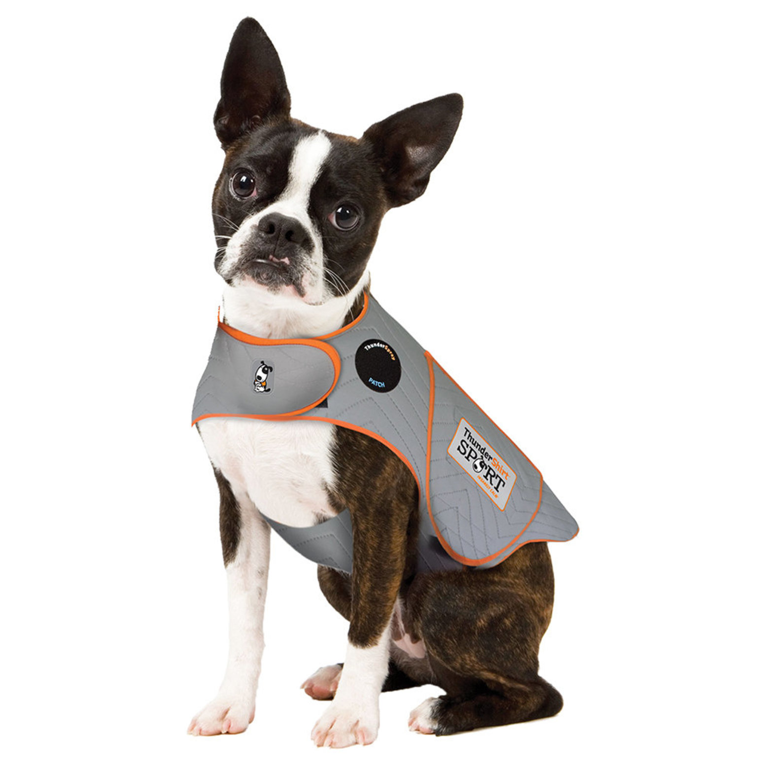 Pet thunder clearance jacket