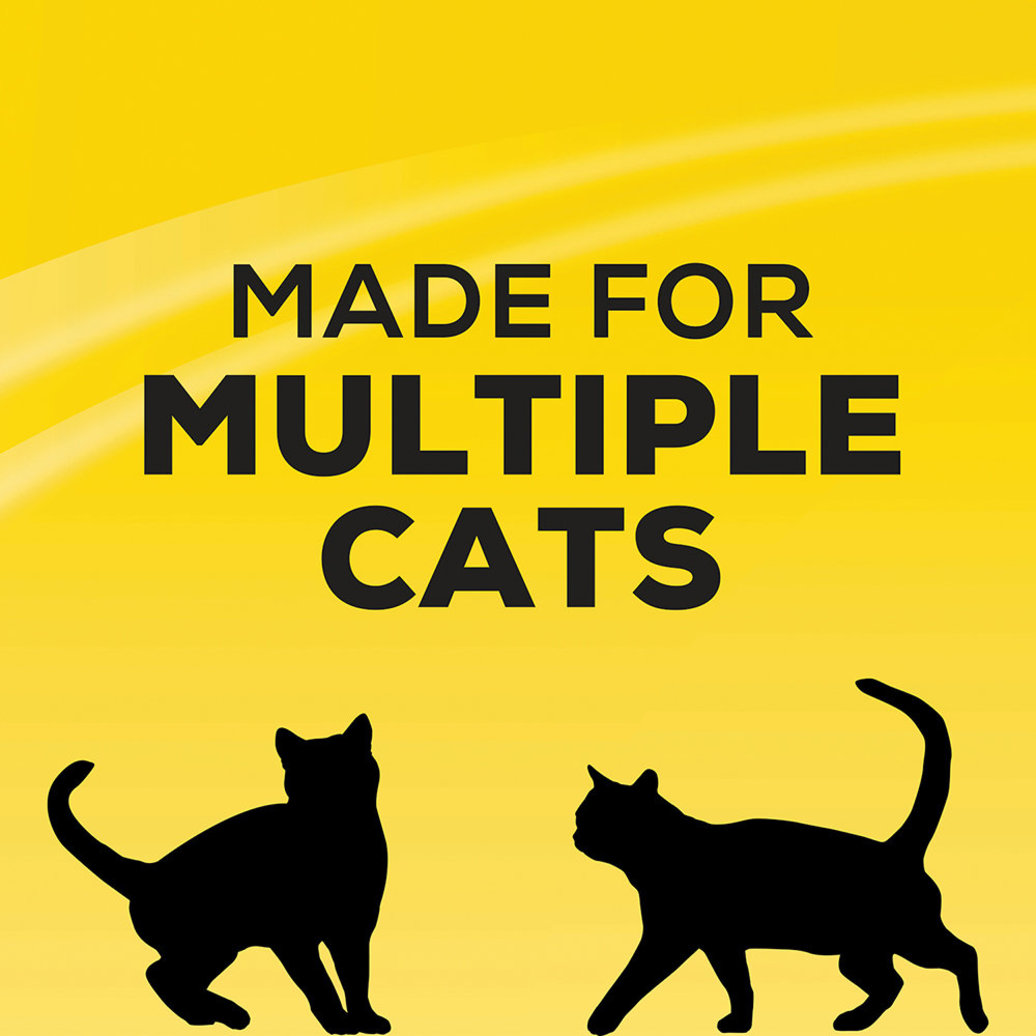 View larger image of Tidy Cats, LightWeight 4-in-1 Strength Clumping Cat Litter for Multiple Cats