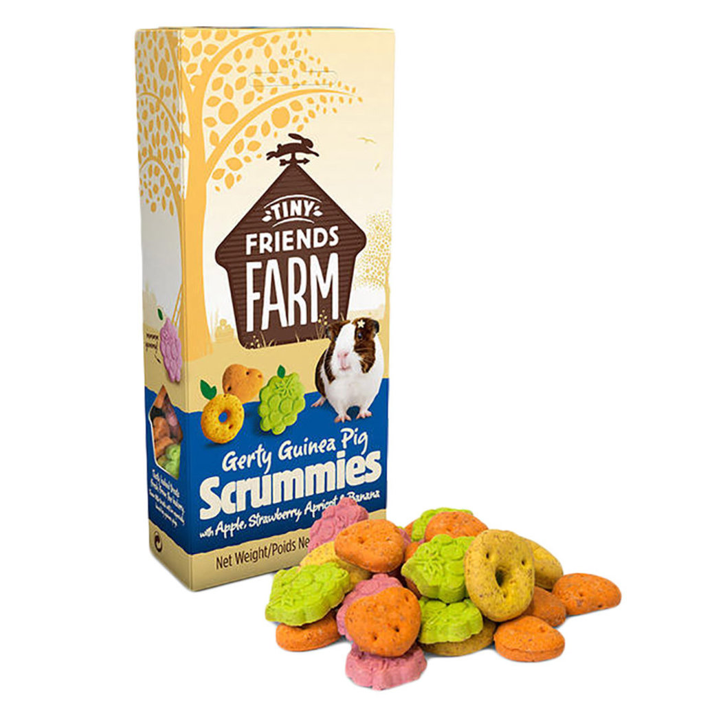 View larger image of Tiny Friends Farm, Gerty Guinea Pig Scrummies - 119 g