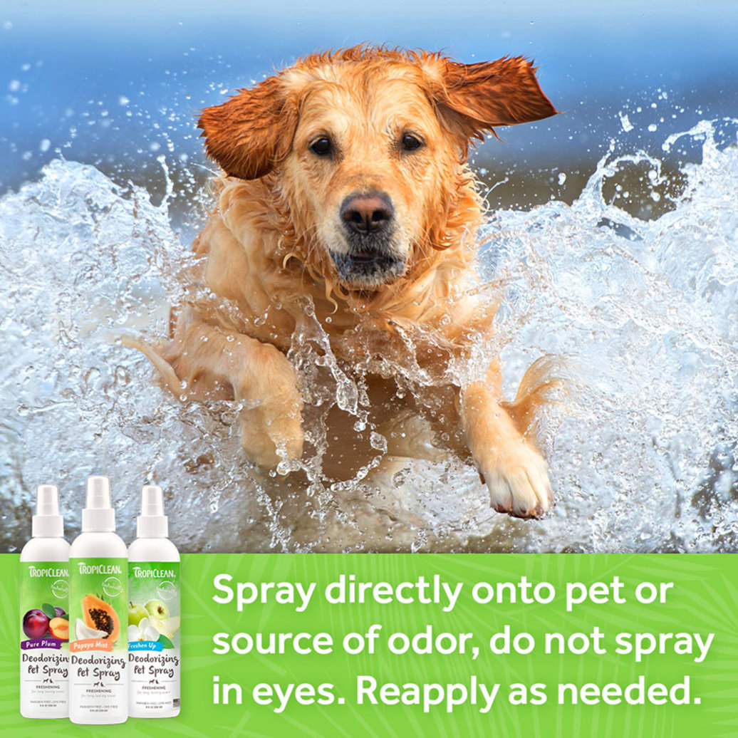 View larger image of Baby Powder Deodorizing Pet Spray - 8 oz