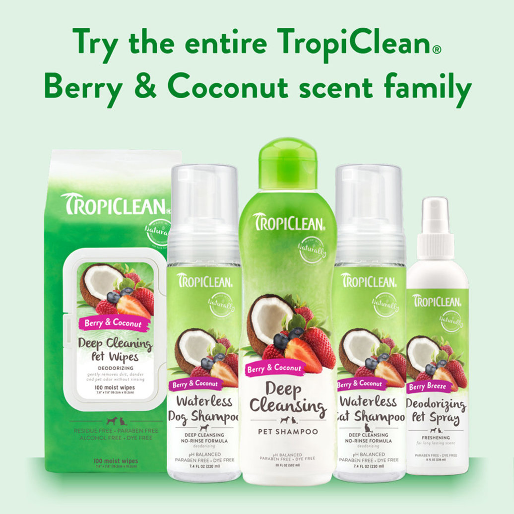 View larger image of Tropiclean, Berry & Coconut Shampoo