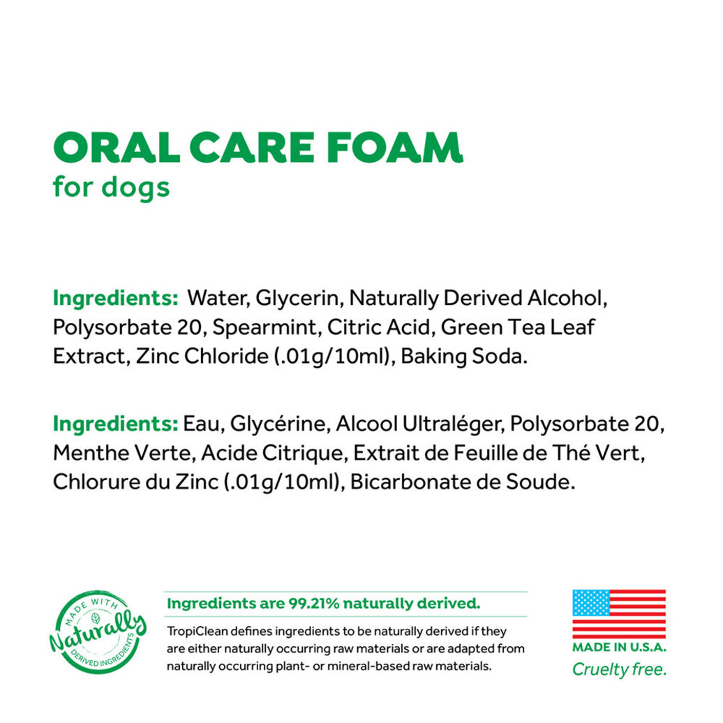 View larger image of Dental Fresh Mint Foam - 4.5 oz