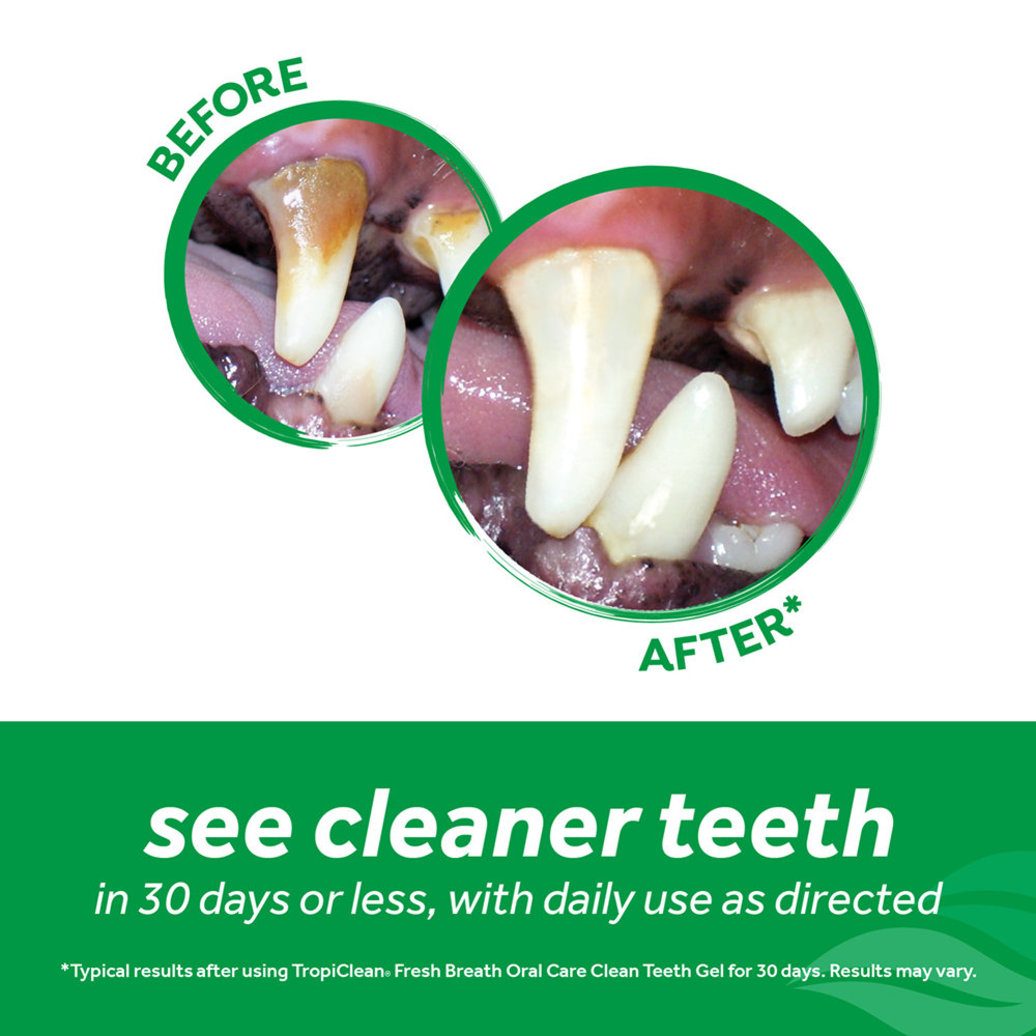 View larger image of Dental & Oral Care Brushing Gel - 2 oz