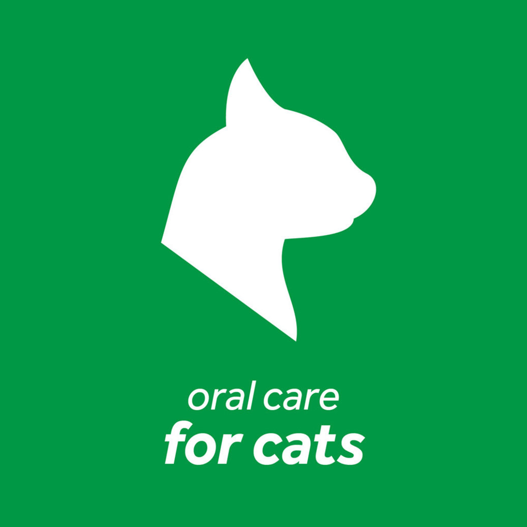 View larger image of Dental Oral Care Water Additive for Cats - 16 oz