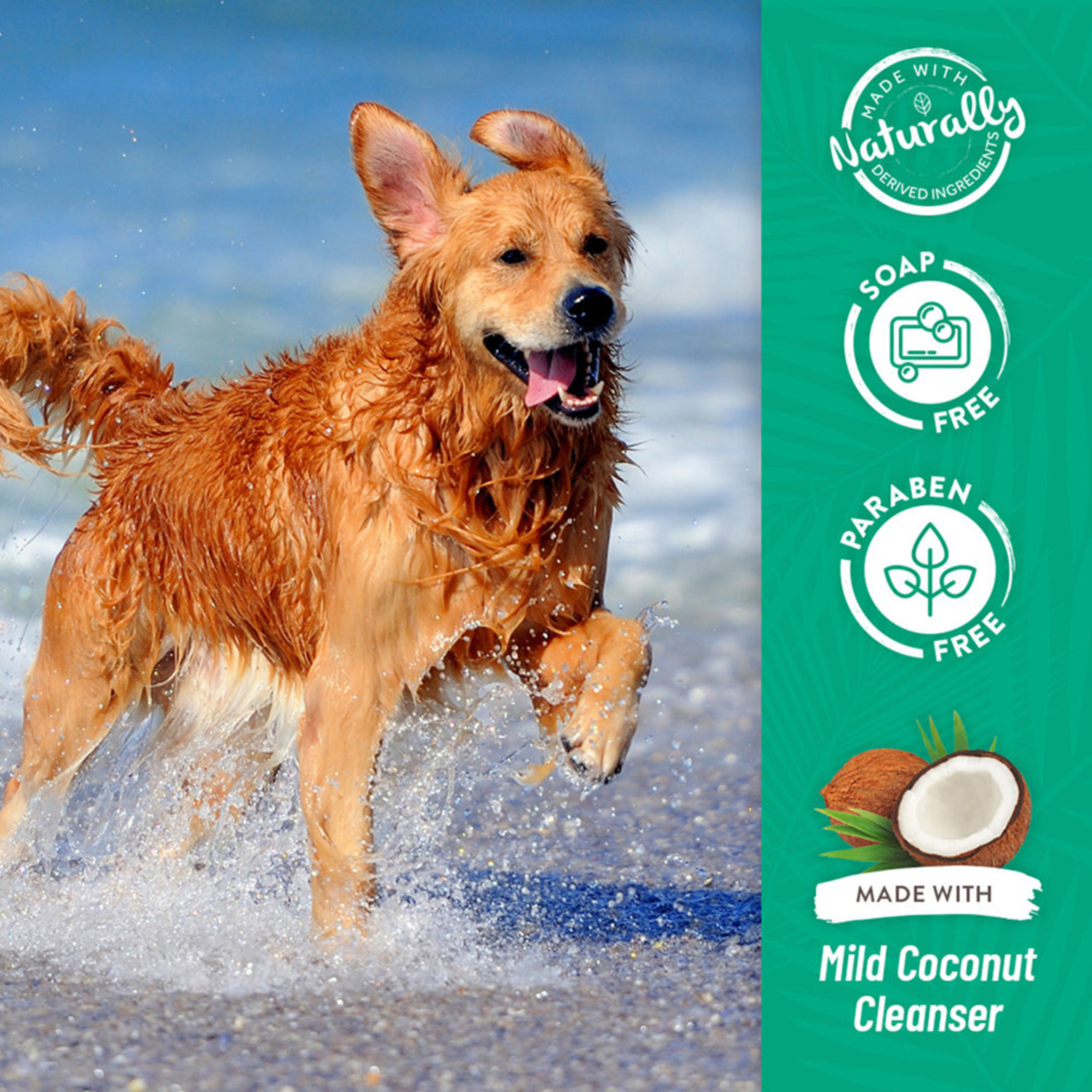 Tropiclean oatmeal 2024 dog shampoo