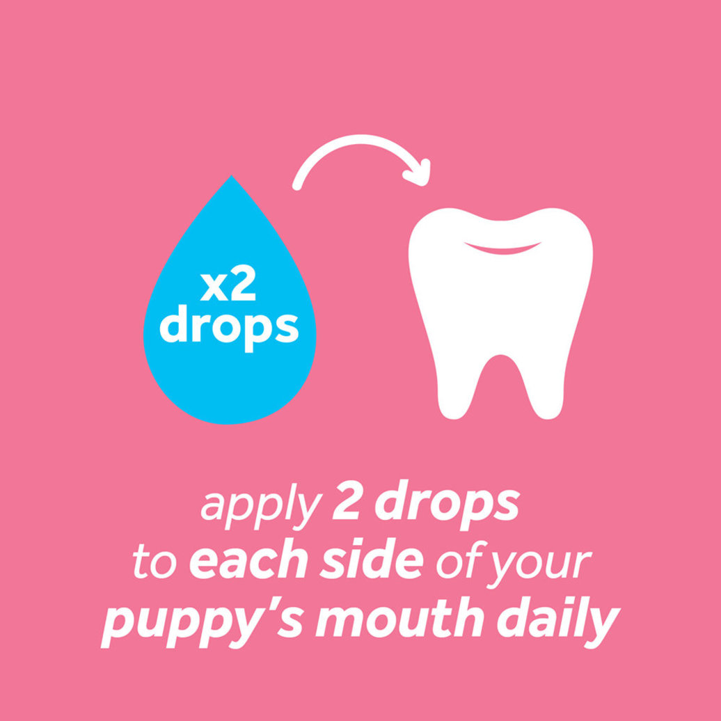 View larger image of Tropiclean, Puppy, Dental Fresh Breath - No Brush Gel - 2 oz