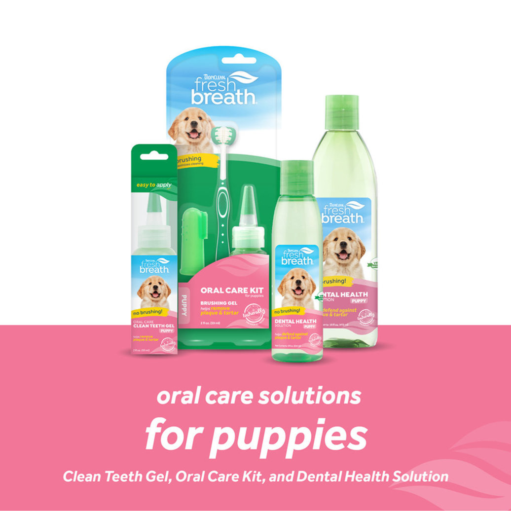 View larger image of Tropiclean, Puppy, Dental Fresh Breath Oral Care Kit - 2 oz