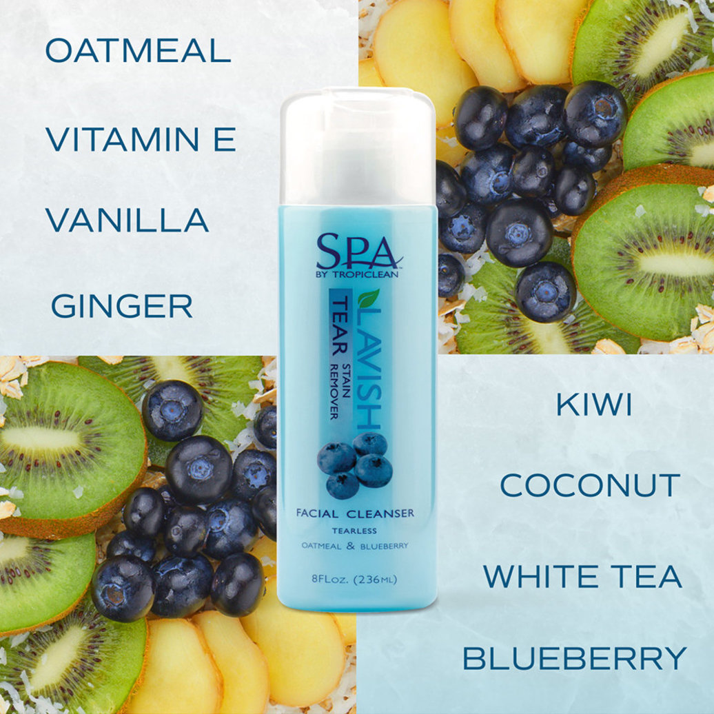View larger image of Spa Fresh Facial Cleanser