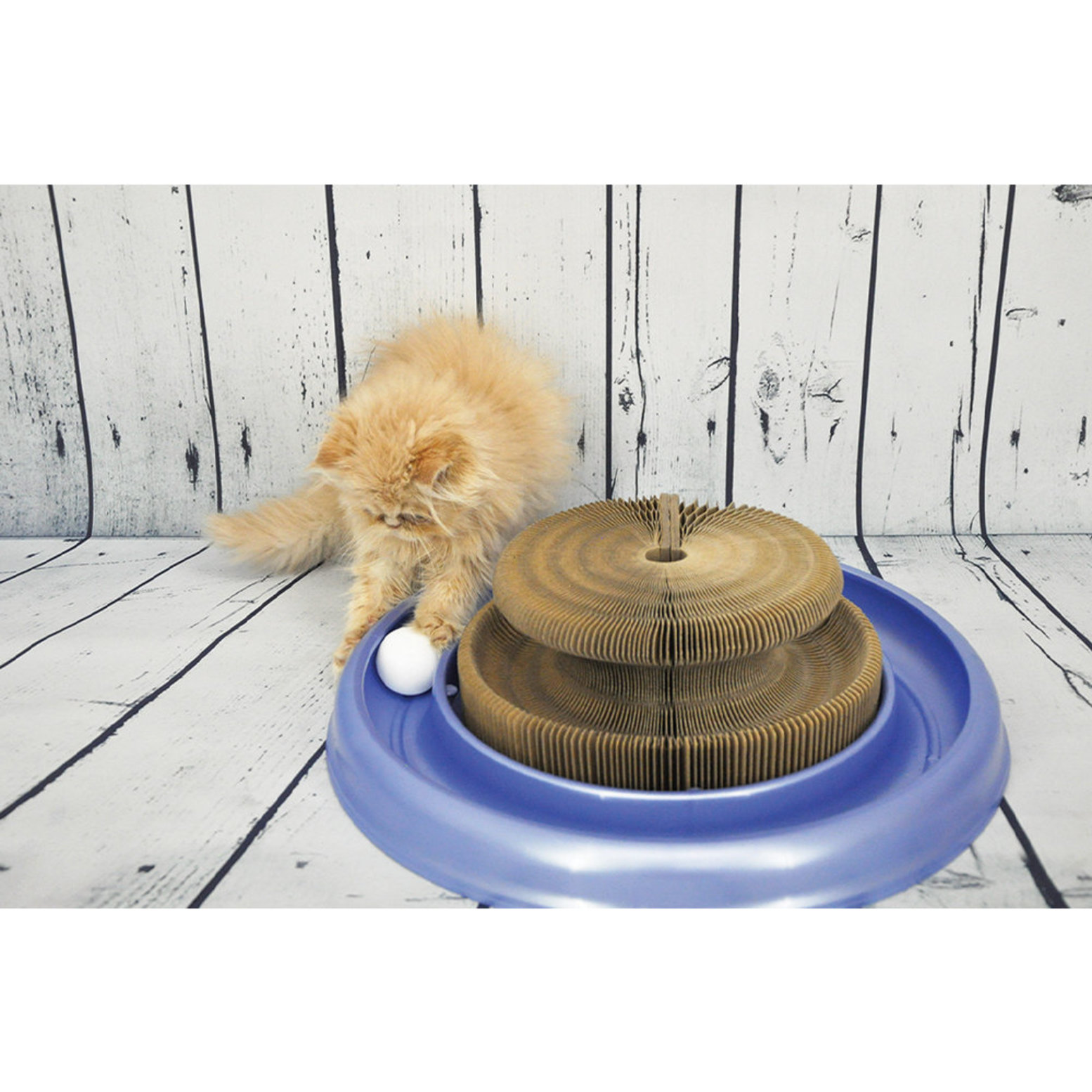 Turbo transform shop it cat toy