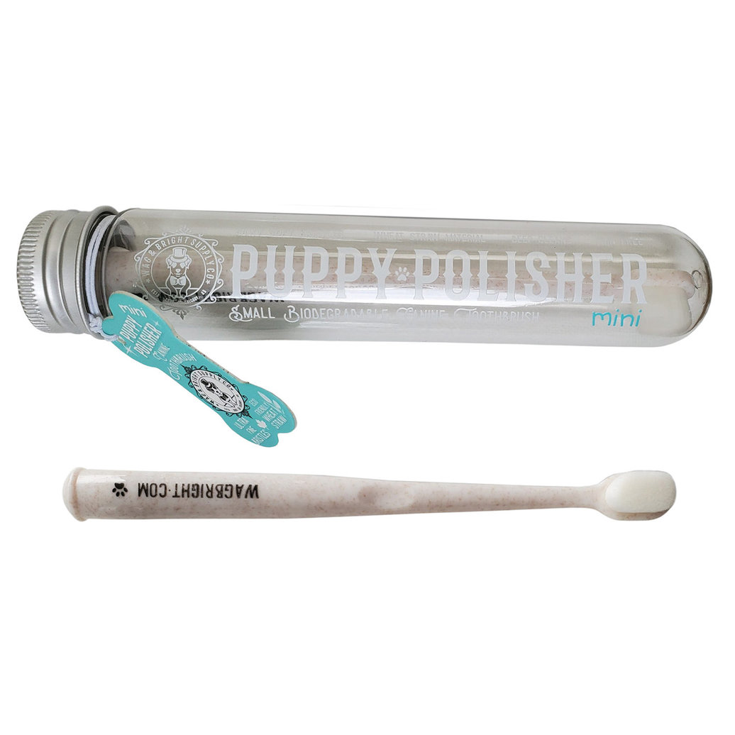 View larger image of Wag & Bright Supply Co., Puppy Polisher Mini Toothbrush