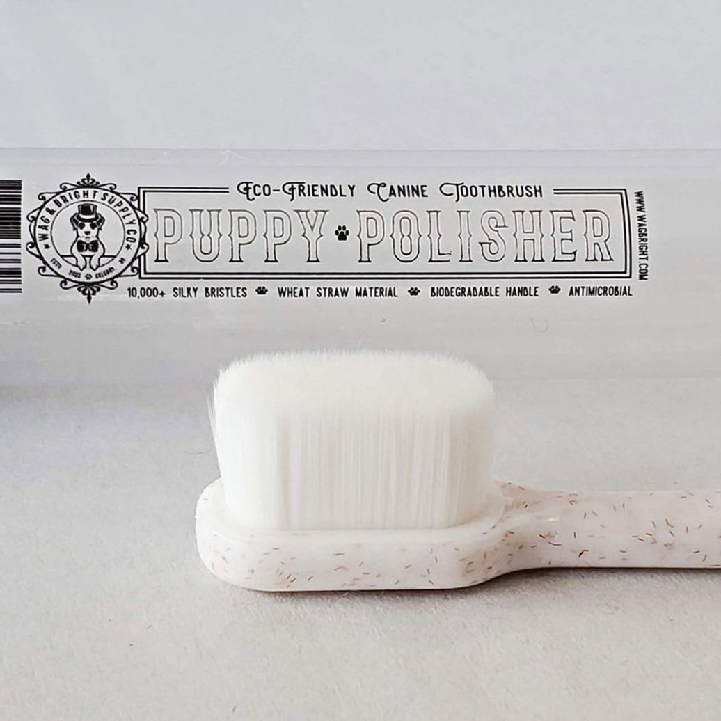 View larger image of Wag & Bright Supply Co. - Puppy Polisher Toothbrush