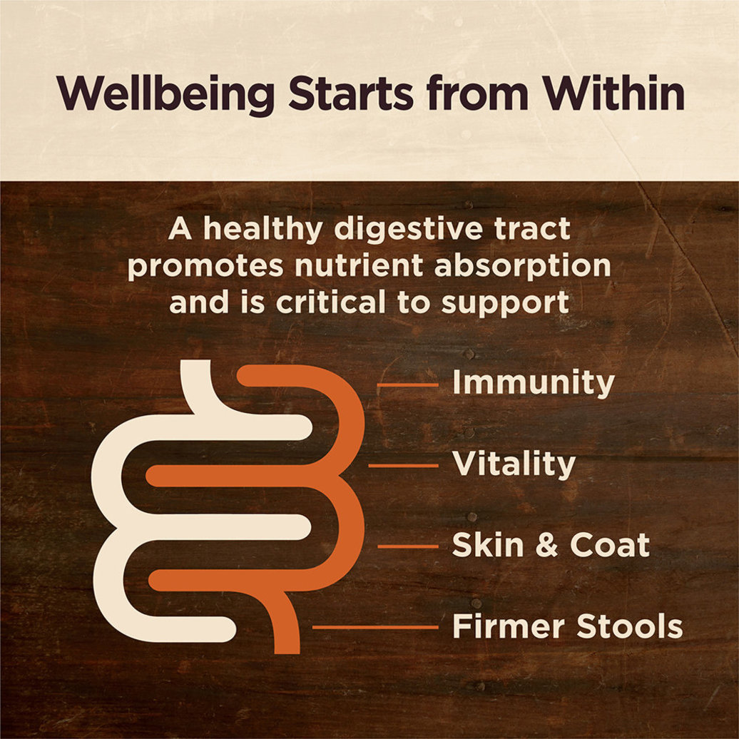 View larger image of Can, Adult - Core Digestive Health - Lamb - 368 g
