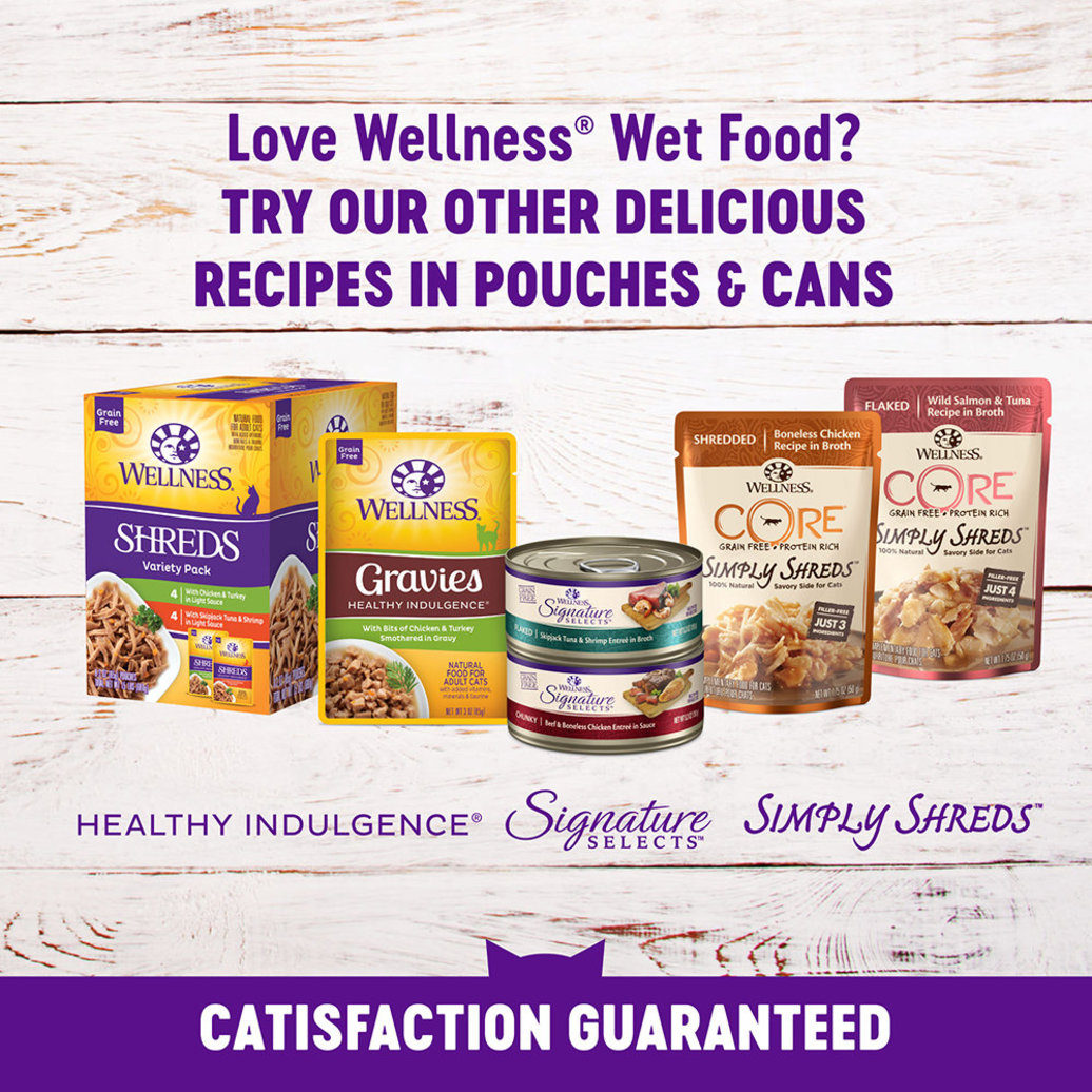 View larger image of Wellness, Canned Cat Food, Complete Health, Chicken & Lobster