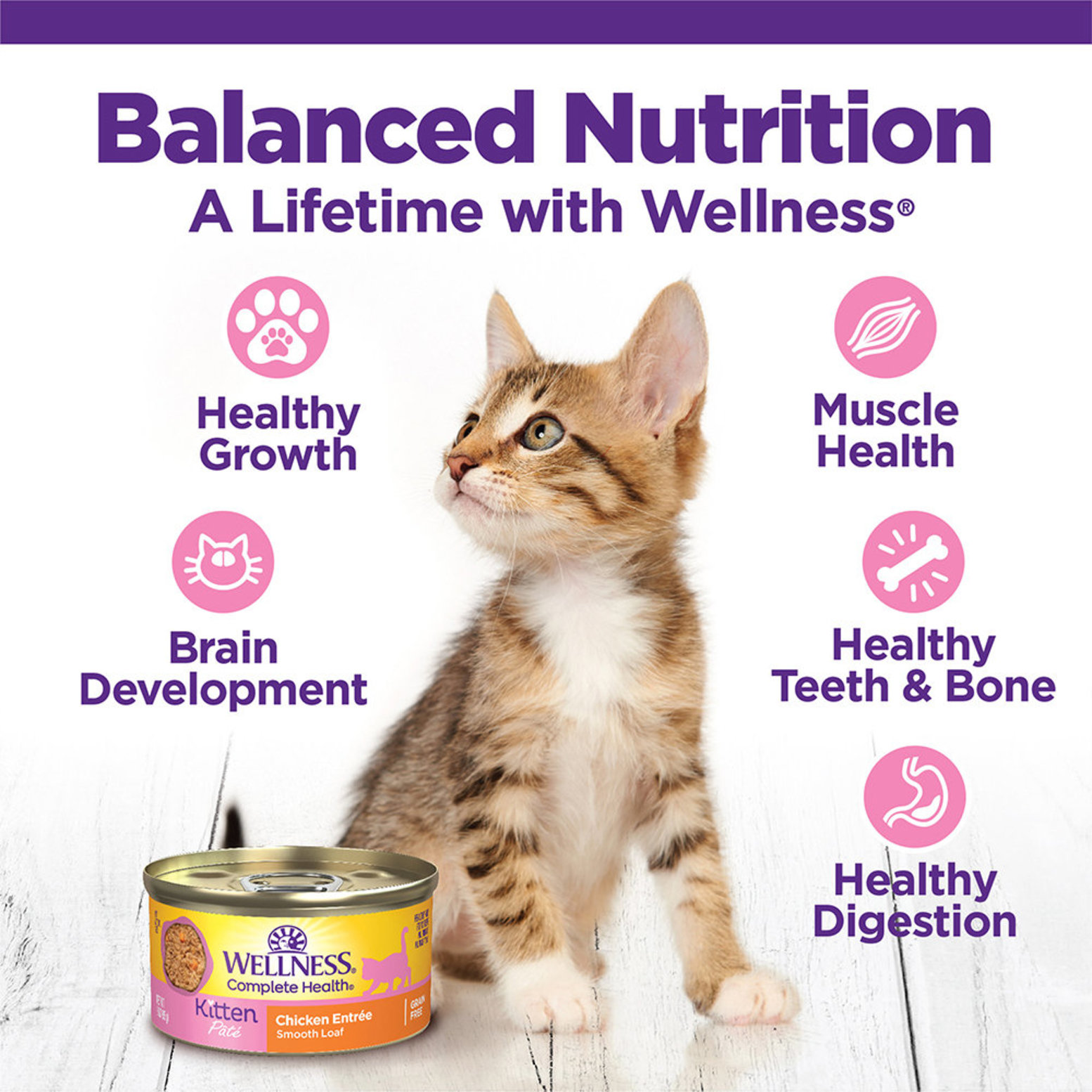 Wellness Canned Cat Food Complete Health Kitten 3 oz Ren s Pets