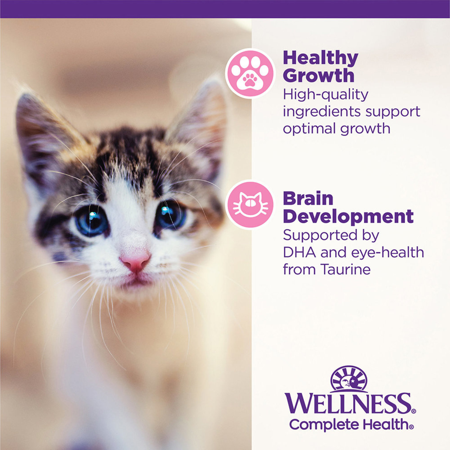 Core wellness hotsell kitten food