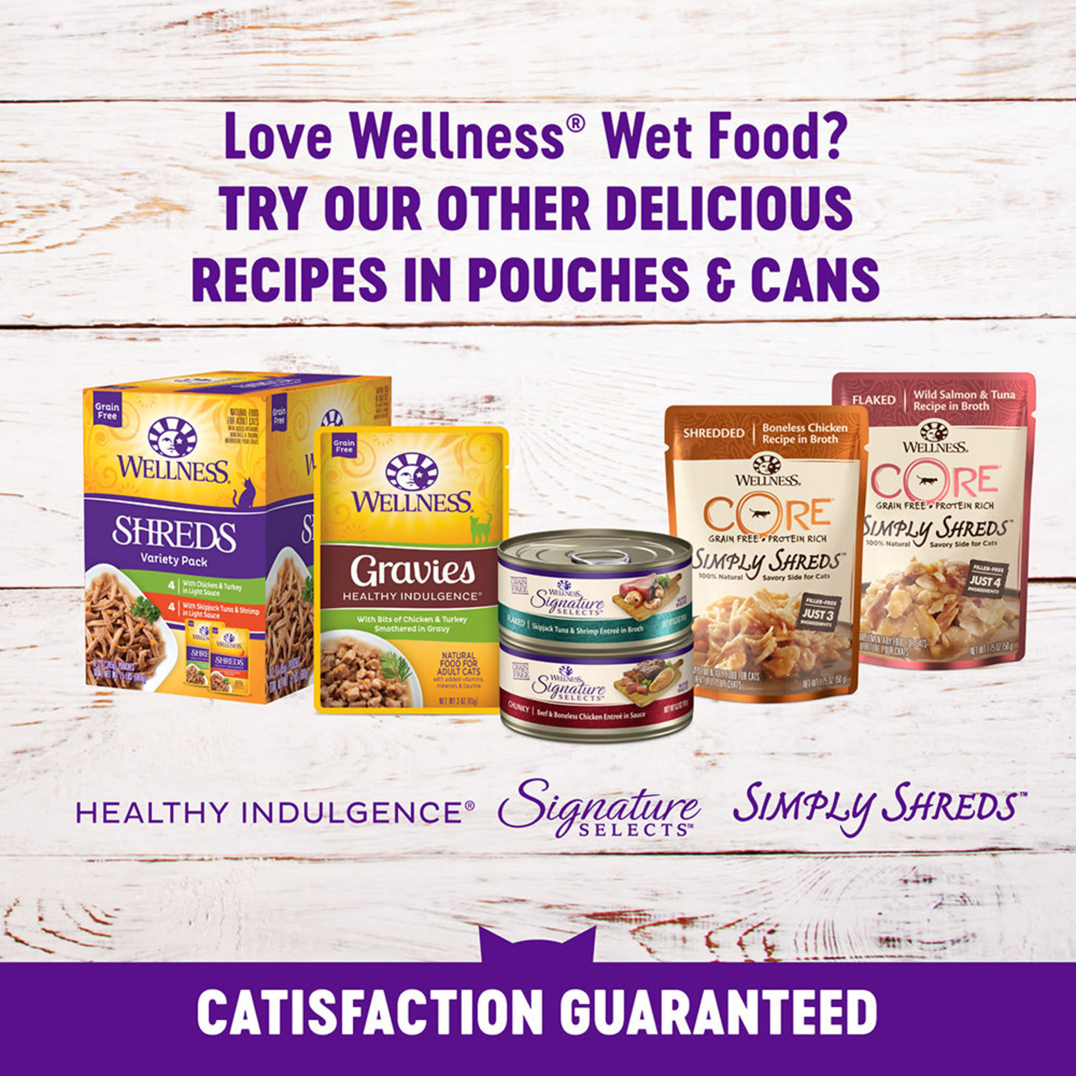 Wellness Canned Cat Food Complete Health Kitten 3 oz Ren s Pets