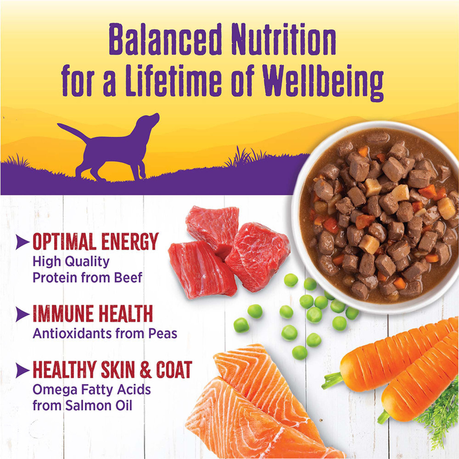 Healthy can hot sale dog food