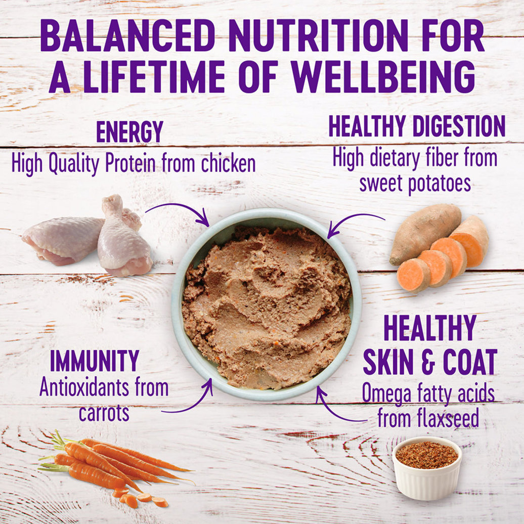 View larger image of Wellness, Canned Dog Food, Complete Health, Senior
