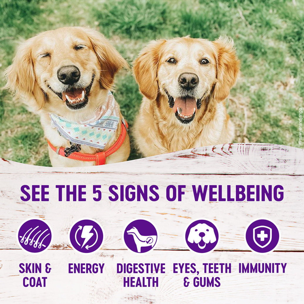 View larger image of Wellness, Canned Dog Food, Complete Health, Senior