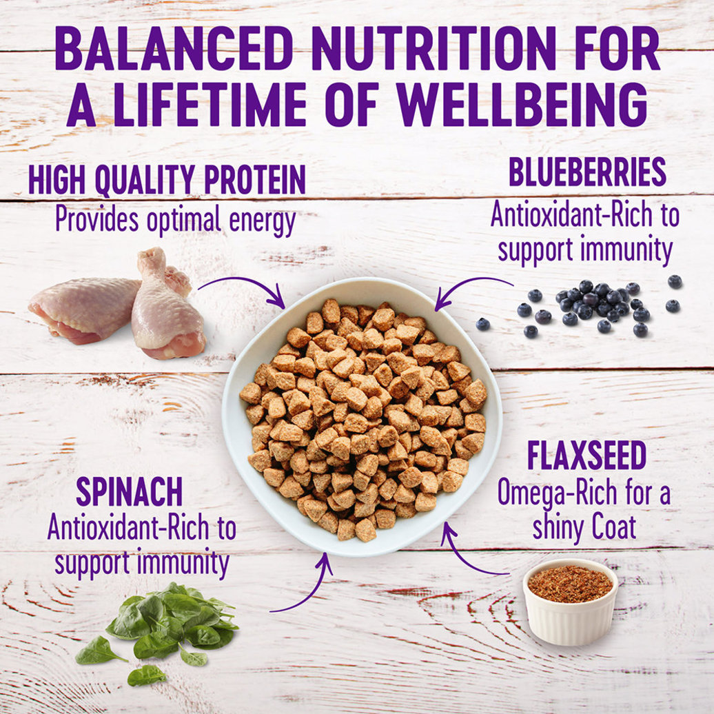 View larger image of Wellness, Senior Complete Health - Chicken & Barley
