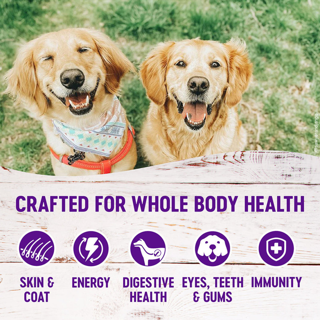View larger image of Wellness, Senior Complete Health - Chicken & Barley
