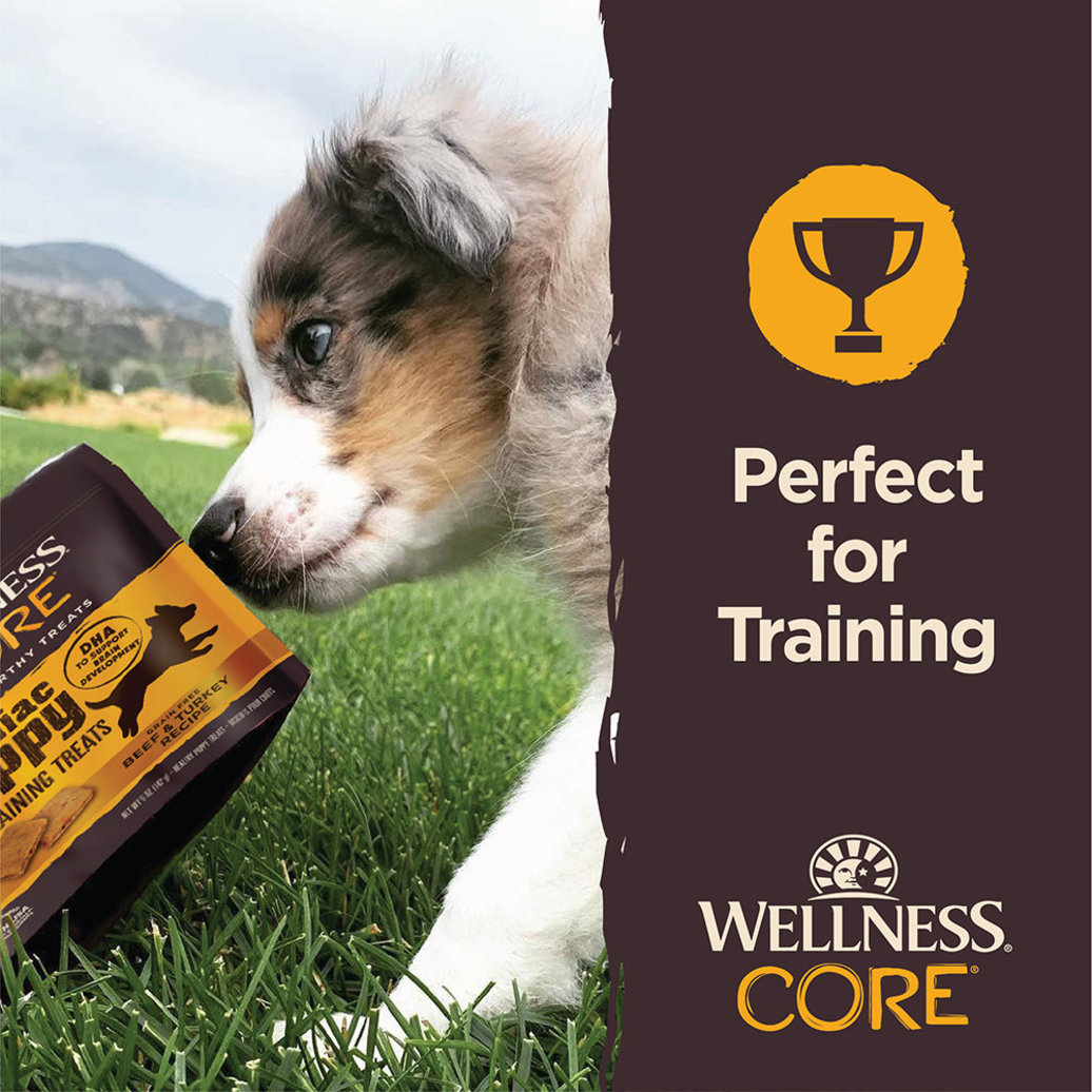 View larger image of Wellness, CORE Brainiac Puppy Soft Training Treats - Grain Free, Beef & Turkey - 170 g