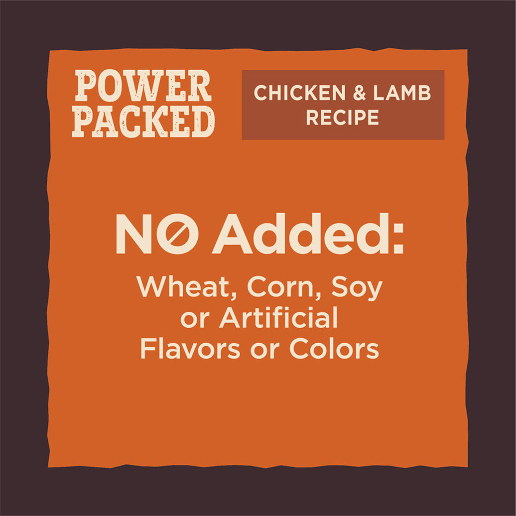 View larger image of CORE Power Packed Chicken Jerky - 113 g