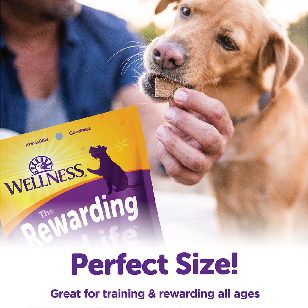 View larger image of Wellness, Wellbites, Chkn & Venison Soft Dog Treats - 6 oz