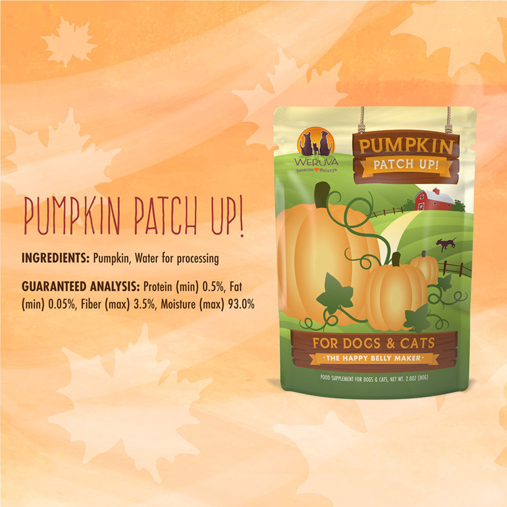 View larger image of Weruva, Pouch, Adult - Pumpkin Patch Up