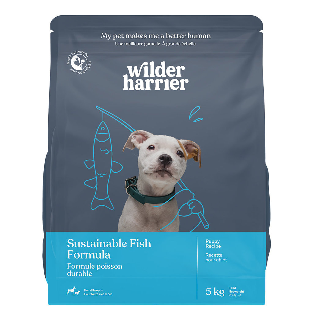 View larger image of Wilder Harrier, Puppy - Sustainable Fish